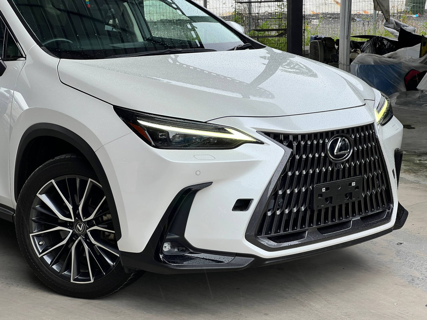 LEXUS NX250 VERSION L 2.5